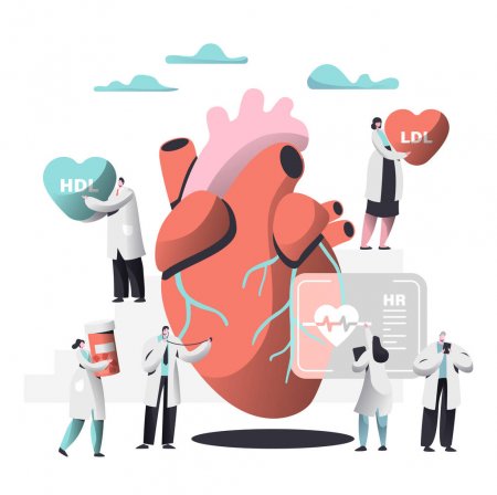 depositphotos_240515230-stock-illustration-доктор-диагностировать-сердца-для-холестерина.jpg